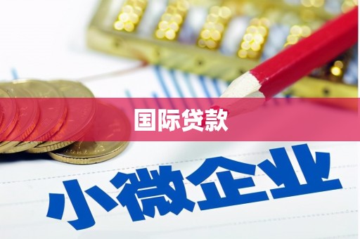 中江国际贷款