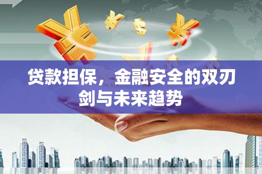 中江贷款担保，金融安全的双刃剑与未来趋势
