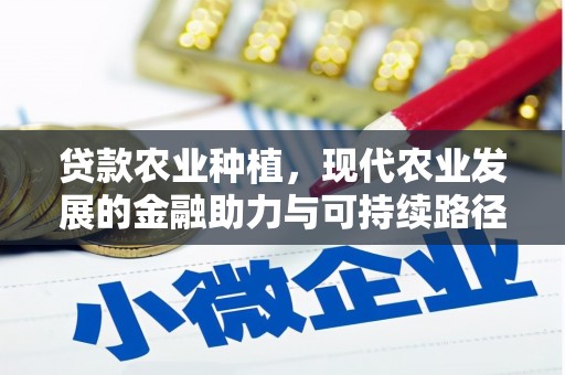 中江贷款农业种植，现代农业发展的金融助力与可持续路径