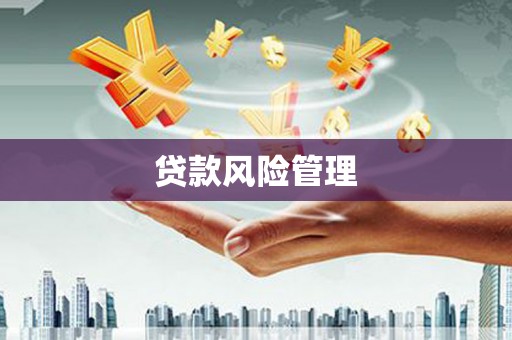 中江贷款风险管理