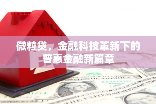 中江微粒贷，金融科技革新下的普惠金融新篇章