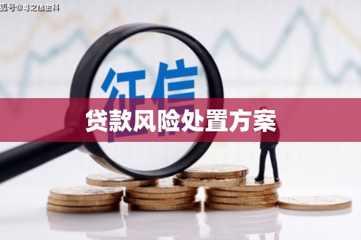中江贷款风险处置方案