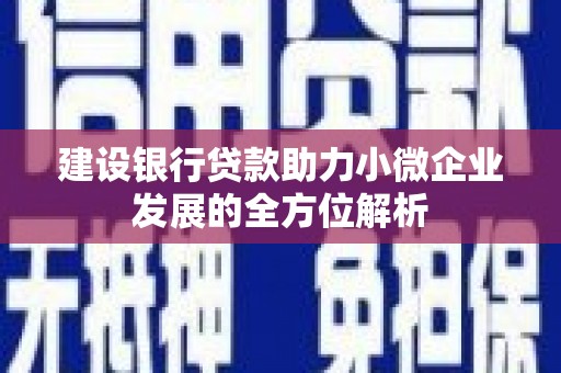 中江建设银行贷款助力小微企业发展的全方位解析