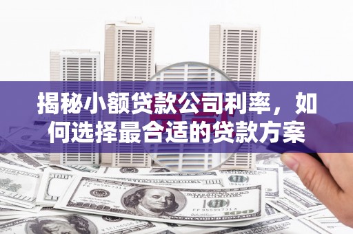 中江揭秘小额贷款公司利率，如何选择最合适的贷款方案